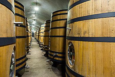 M站盘点2023年上半年最佳游戏TOP 20